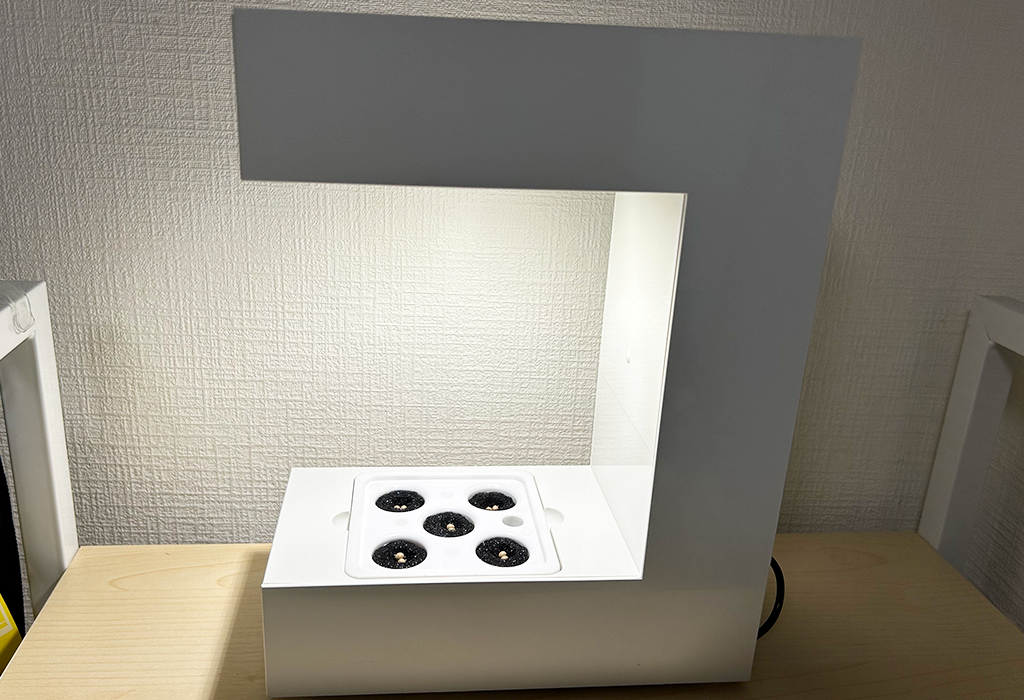 アカリーナ14 OMA14