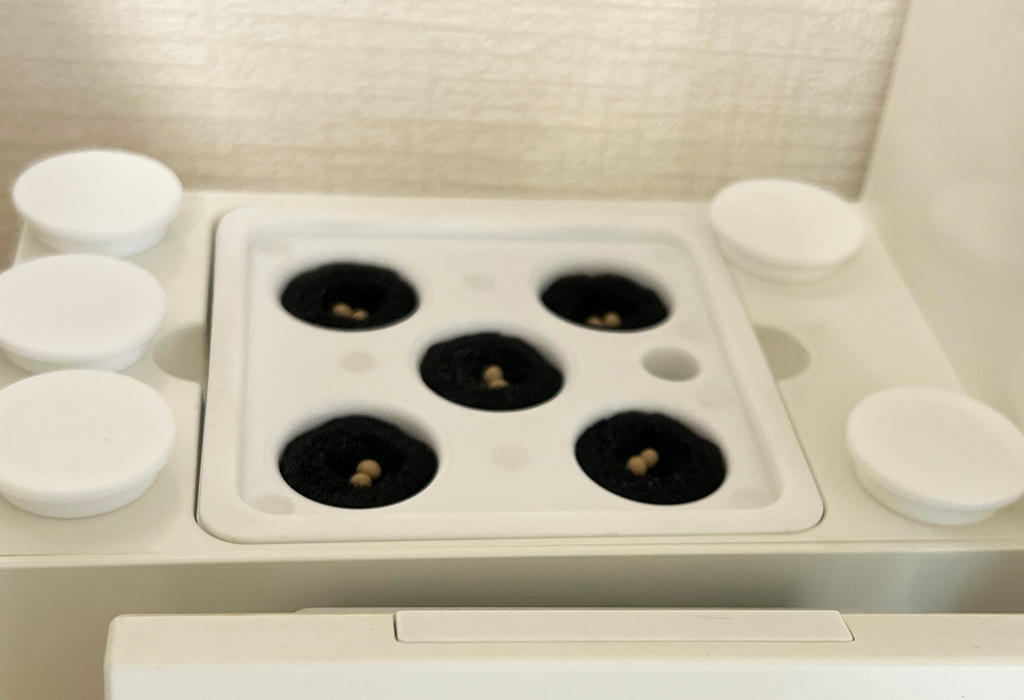 アカリーナ14 OMA14