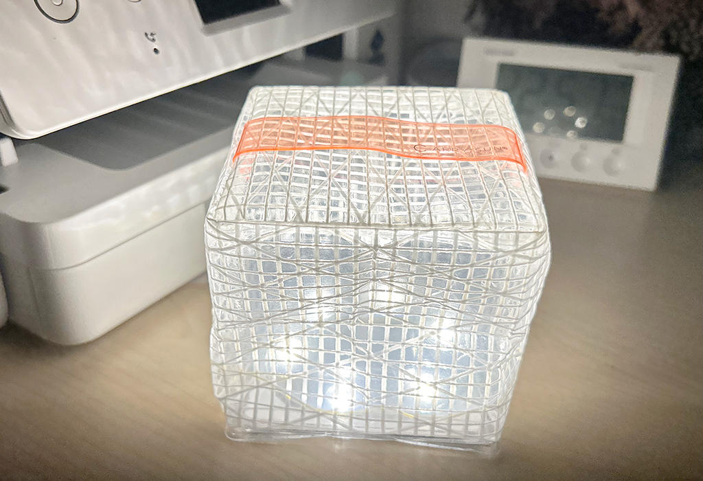 CARRY THE SUN（キャリー・ザ・サン）