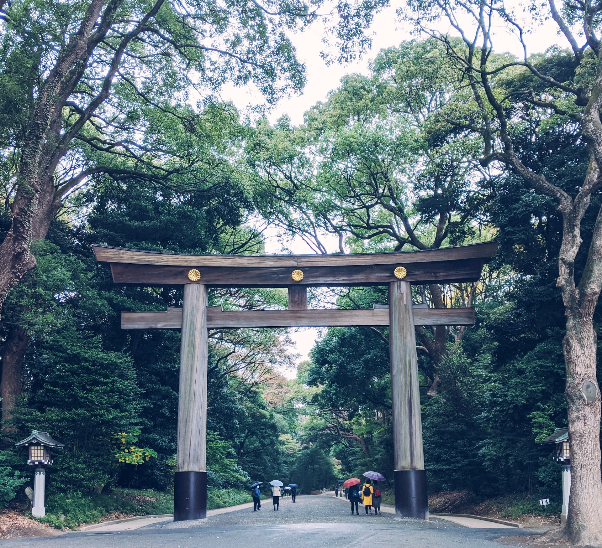 Meiji Jingu Photo by note thanun