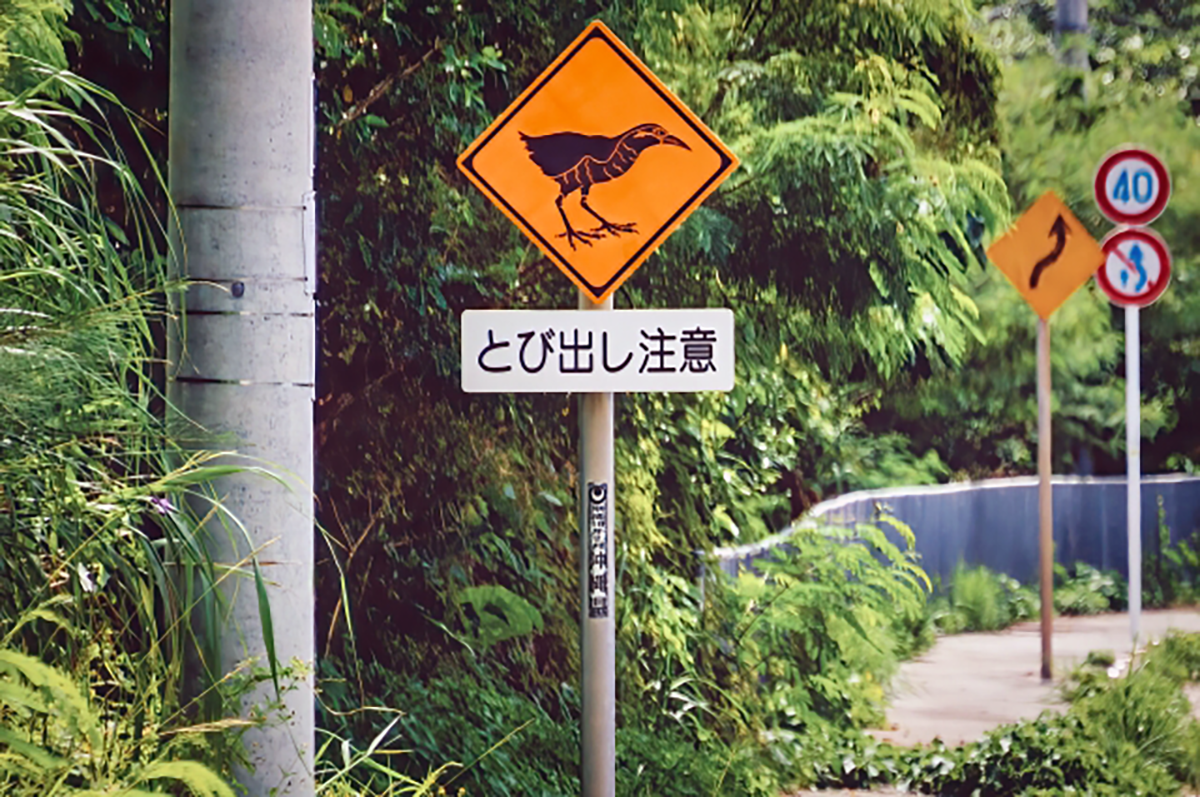 ヤンバルクイナの注意標識