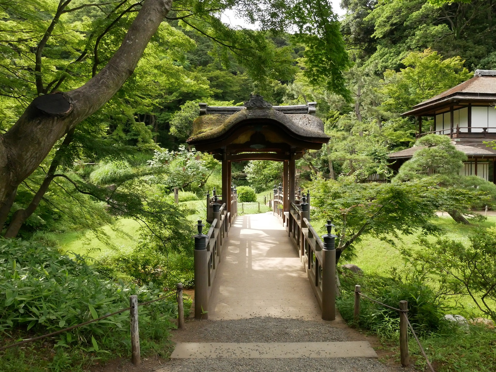 Yokohama Sankeien Garden Photo by Peda Run