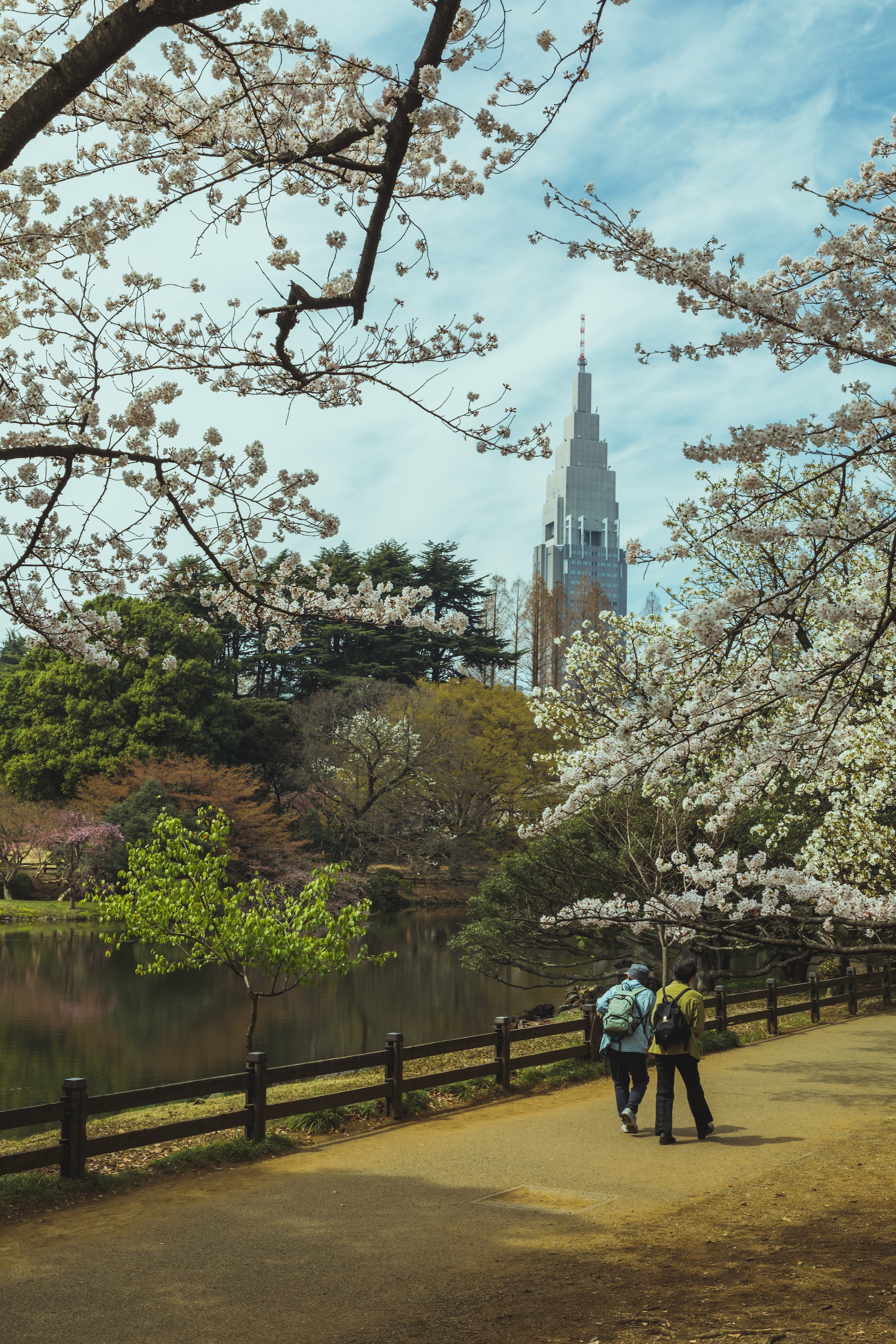 Shinjuku Gyoen Photo by Shane Goh